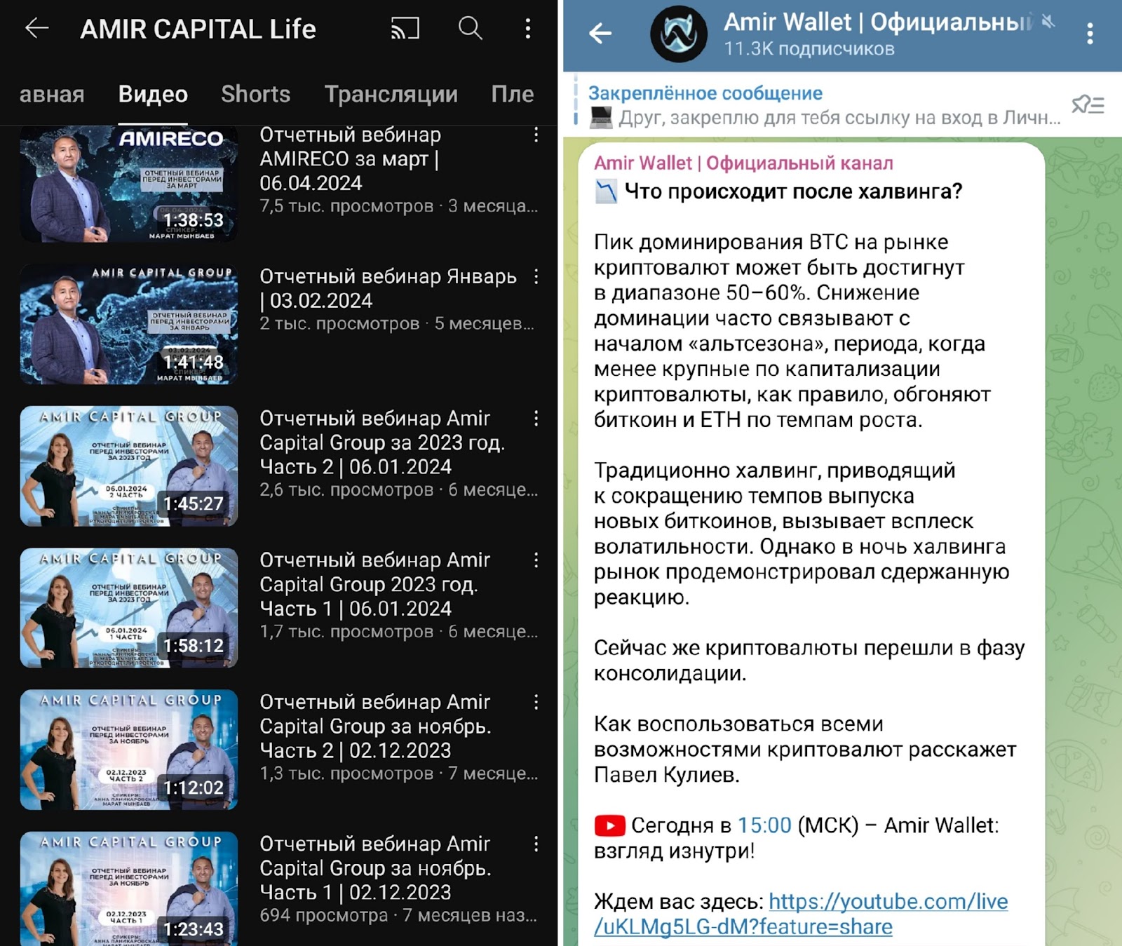 amir capital отзывы